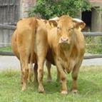 image099.jpg